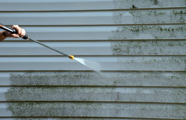 Best Solar Panel Cleaning  in Omaha, TX